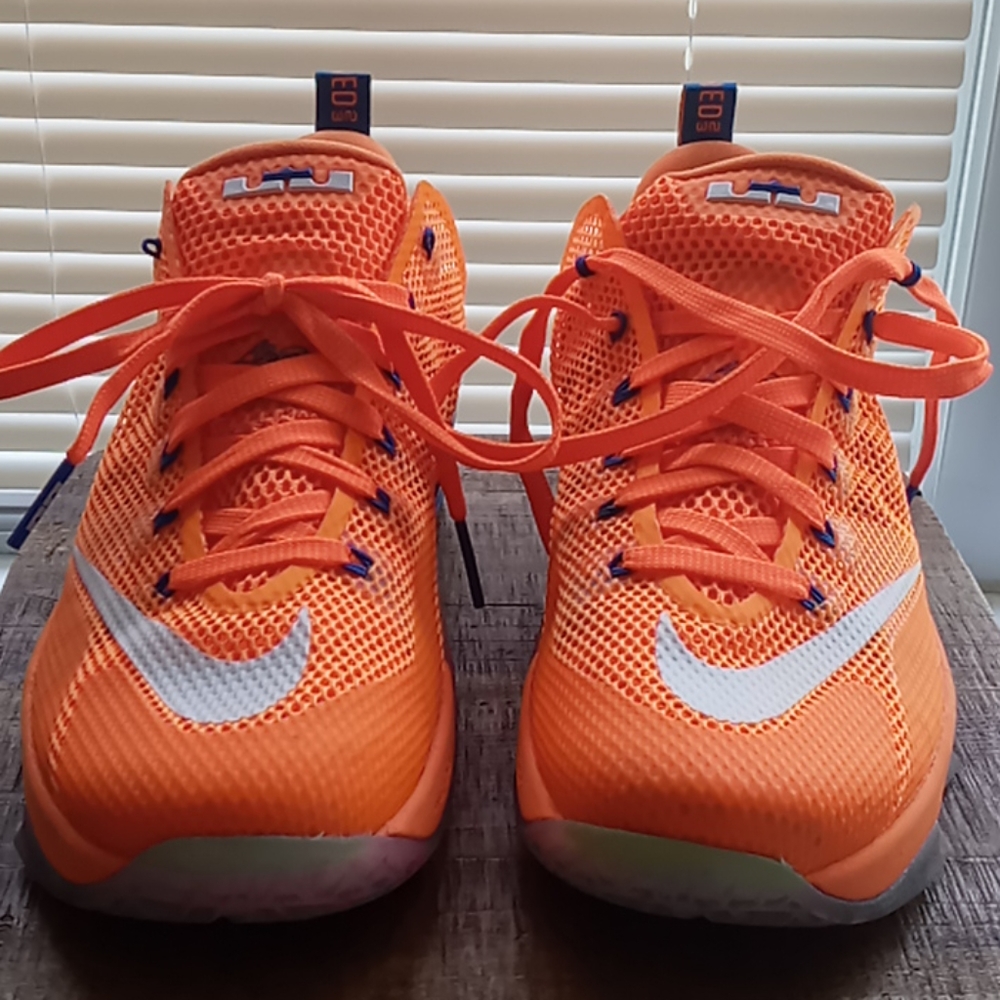 Nike Lebrons twelve